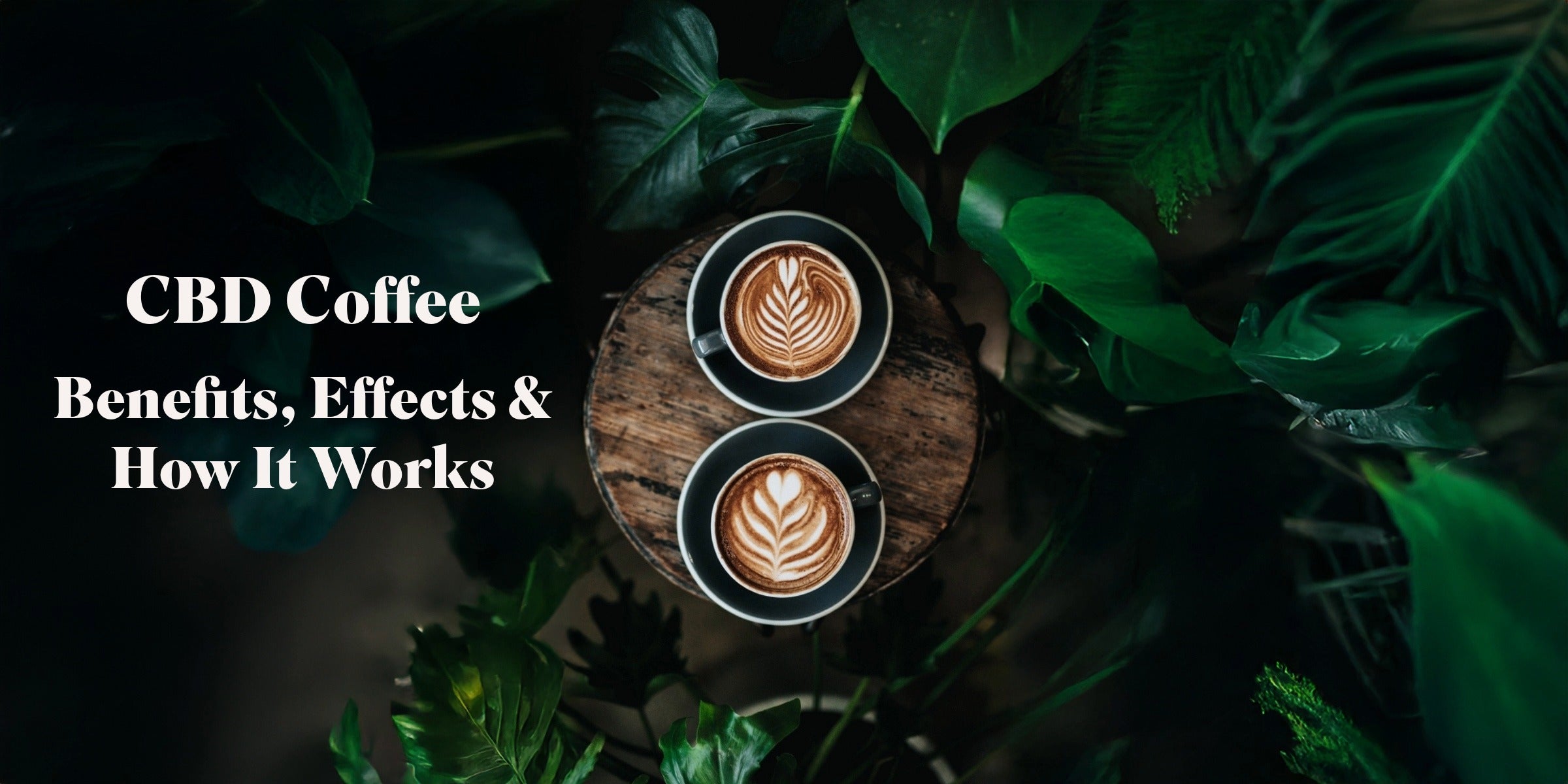 CBD Coffee - Benefits, Effects & How It Works