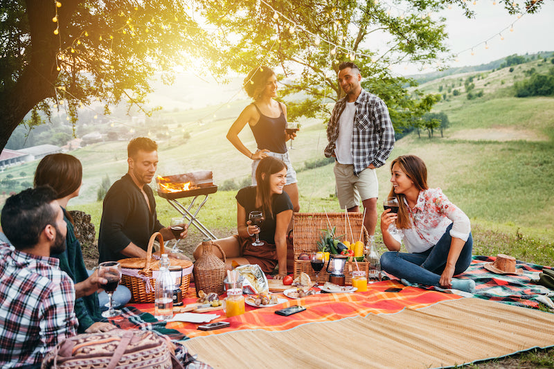How to Plan the Ultimate Backyard Picnic: Food, Drinks, Music, and Games for Fun in the Sun