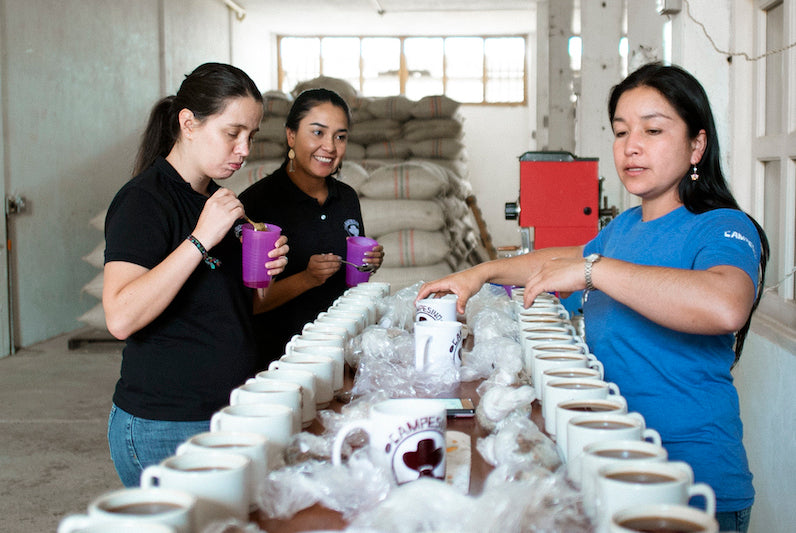 Campesino Colombia Coffee